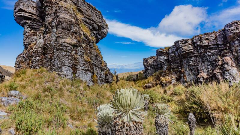 <div class="migrated-promo-image__description"><div class="migrated-promo-image__source">Fuente: Shutterstock 1236837751</div></div>