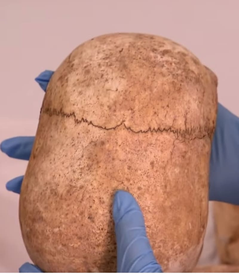 Cráneos hallados. Fuente: History Latinoamérica.