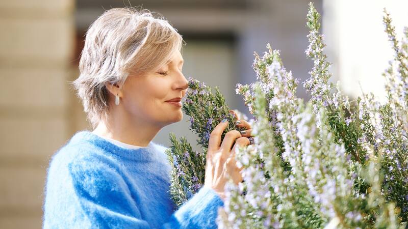 <div class="migrated-promo-image__description"><div class="migrated-promo-image__source">Fuente: Shutterstock</div></div>