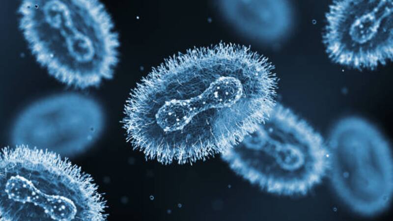 Ya son 252 los casos confirmados del virus Xue-Cheng (XCV) transmitido por las garrapatas en China que preocupa a médicos.