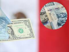 Murió el peso mexicano | La moneda nacional pierde ante el poder del dólar