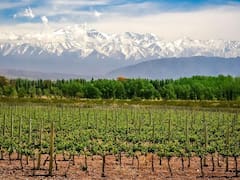 Otorgan préstamo internacional de u$s 120 millones para obras en provincias