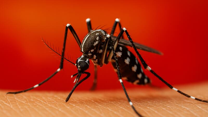 <div class="migrated-promo-image__description"><div class="migrated-promo-image__source">Fuente: ChatGPT imagen ilustrativa</div></div>