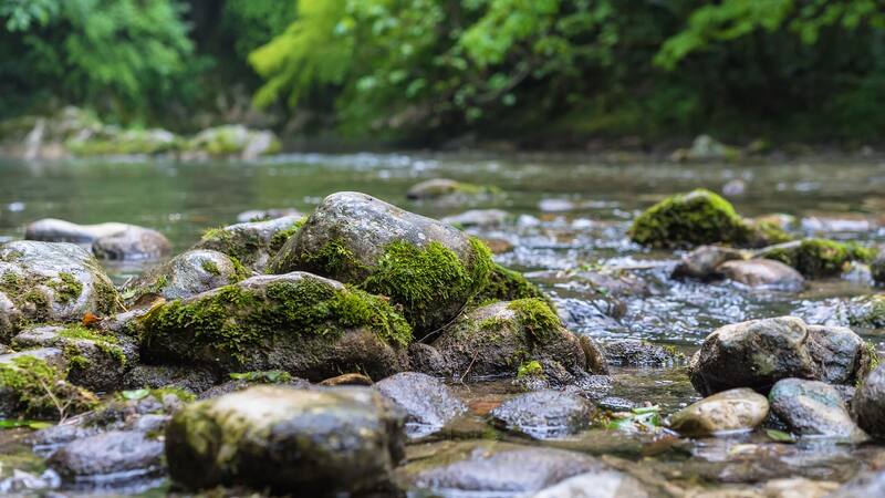 Este maravilloso rincón natural es una de las opciones más tentadoras de la zona.