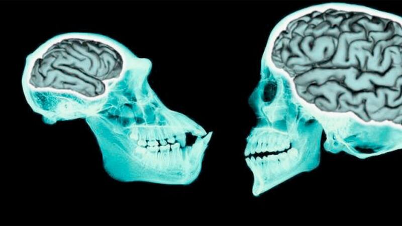 <div class="migrated-promo-image__description"><div class="migrated-promo-image__source">Fuente: Archivo</div></div>