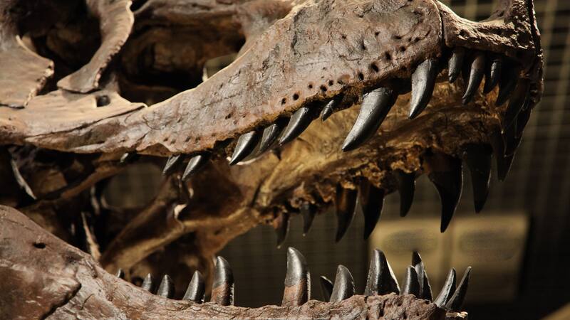 <div class="migrated-promo-image__description"><div class="migrated-promo-image__author">Shutterstock</div></div>