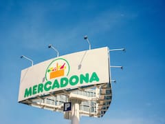 Mercadona tiene un plato preparado que cuesta menos de 4 euros y encanta a todos sus clientes