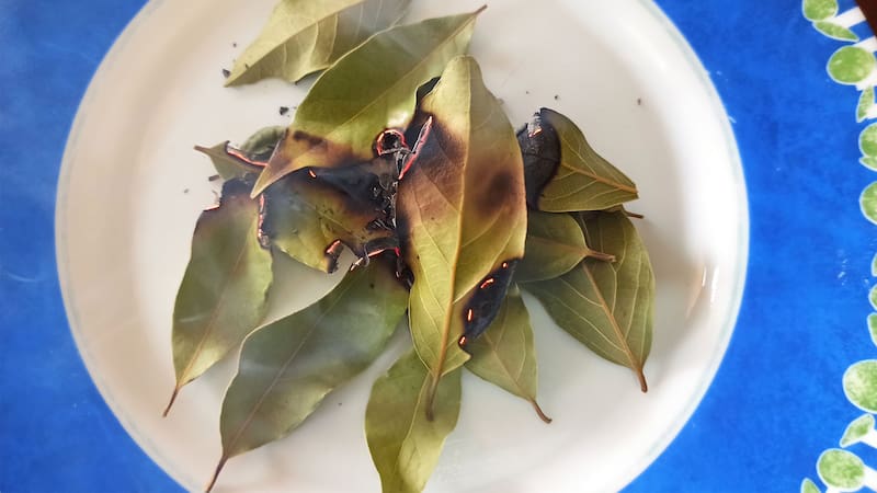 El viernes 25 de octubre es ideal para el ritual del laurel, enfocado en el amor verdadero (Fuente: Shutterstock)