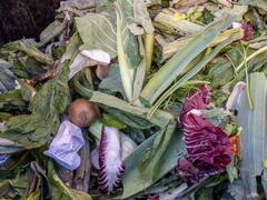 Repensar lo que descartamos, recuperar lo que vale