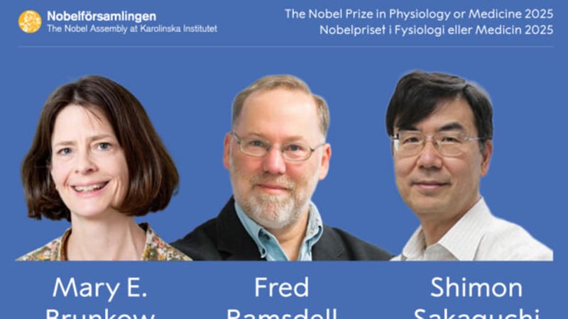 <div class="migrated-promo-image__description"><div class="migrated-promo-image__source">Fuente: EFE</div></div>