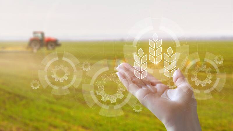 <div class="migrated-promo-image__description"><div class="migrated-promo-image__source">Fuente: Shutterstock</div></div>