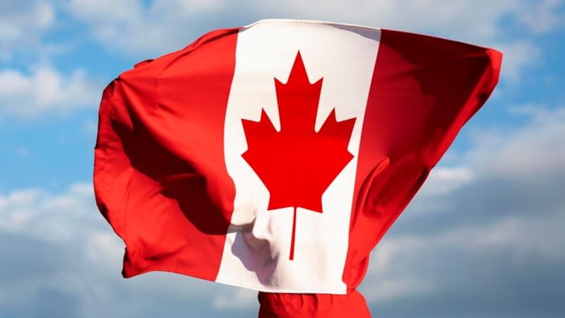 <div class="migrated-promo-image__description"><div class="migrated-promo-image__source">Fuente: Freepik</div></div>