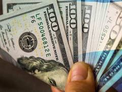 Picante cruce de alto vuelo entre economistas por la dolarización: cuándo lanzarla