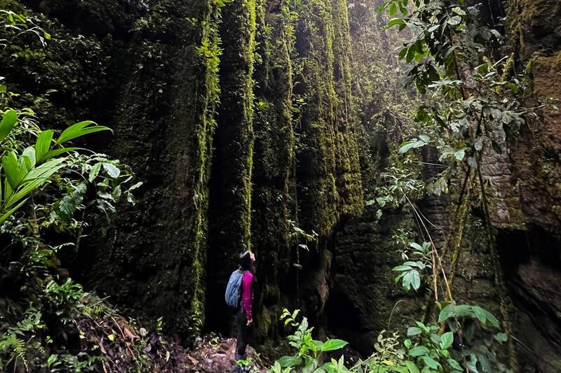 Se trata de un espectáculo natural pocas veces visto en Colombia.