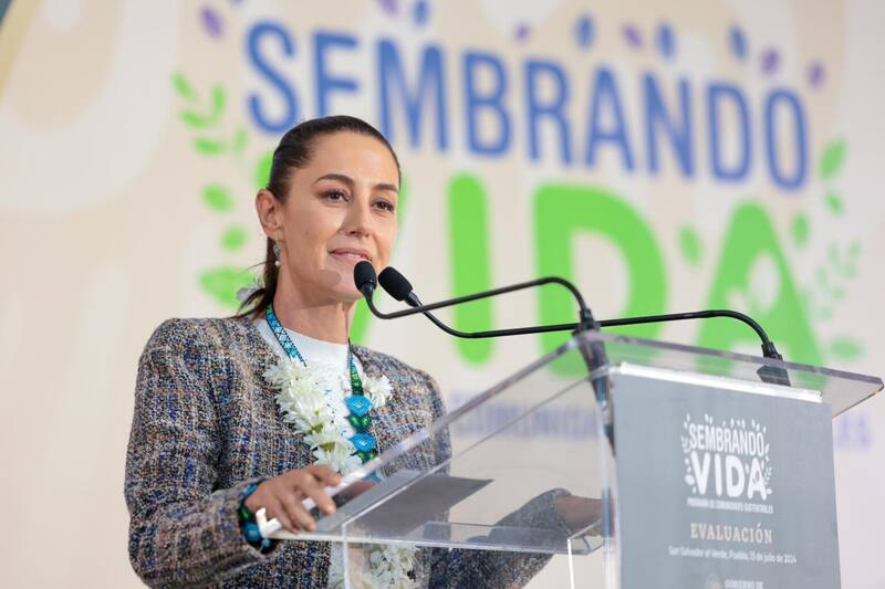 El Gobierno de Claudia Sheinbaum impulsa el programa Sembrando Vida. Fuente: Secretaría del Bienestar.