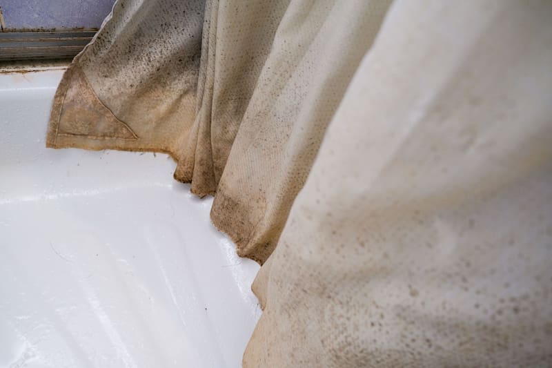Cómo eliminar los hongos de la cortina de ducha sin descolgarla. Fuente: archivo