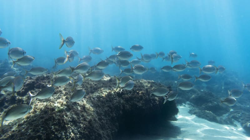 <div class="migrated-promo-image__description"><div class="migrated-promo-image__source">Fuente: Freepik.es</div></div>