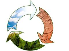 Economía circular: casos de éxito que muestran que es mucho más que reciclar