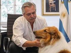 El video emotivo del perro Dylan por el cumpleaños de Alberto Fernández