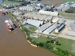 ¿Brasil juega en contra? Argentina, en alerta por el impacto de la mega cosecha