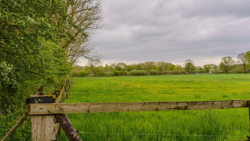 El impactante descubrimiento que hizo un agricultor que cambiará su vida para siempre.