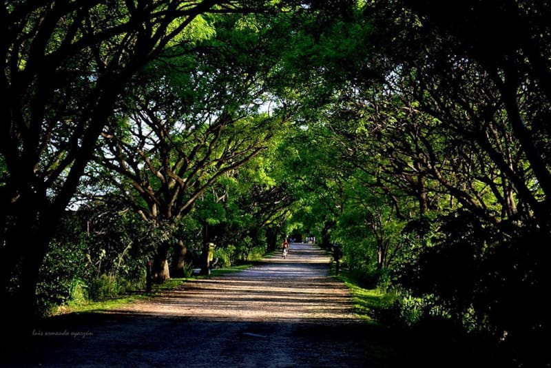 Reserva Ecológica Costanera Sur. Fuente: Buenos Aires Ciudad.