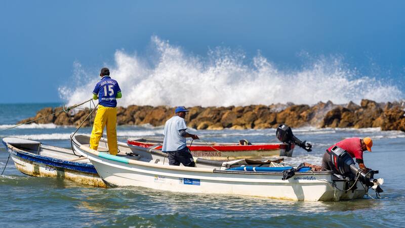 <div class="migrated-promo-image__description"><div class="migrated-promo-image__source">Fuente: Shutterstock 2501522667</div></div>