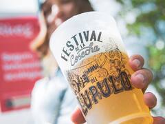 Feriado de Carnaval: cómo es la Cosecha de Lúpulo en El Bolsón