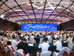 Con una inversión de u$s 1250 millones, China apuesta a un insumo clave en el país