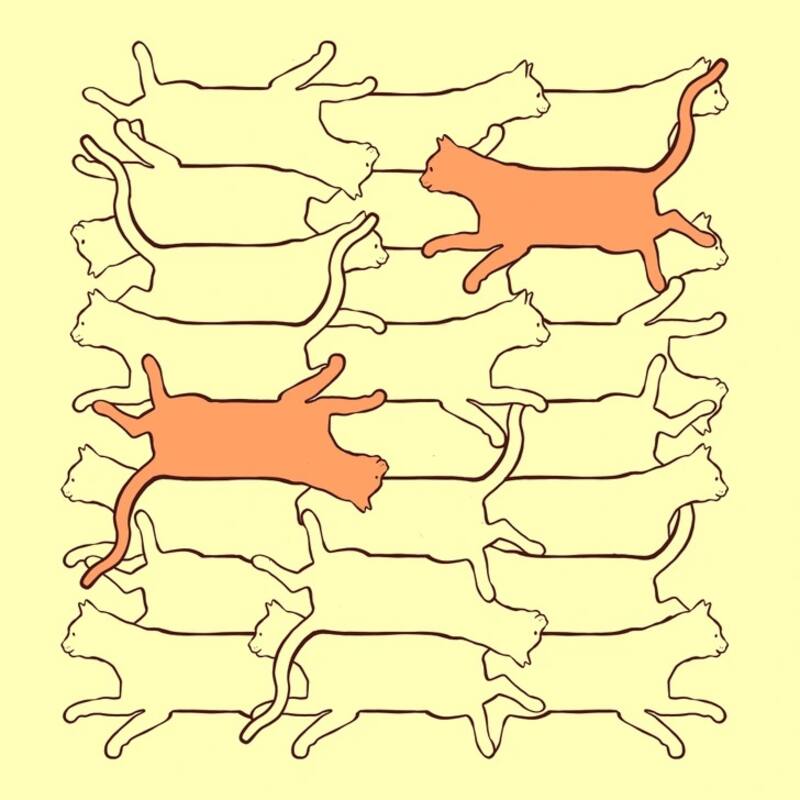 Estos son los dos gatos iguales y completos del reto visual. (Foto: Genial.guru)