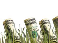 Nuevo bono tiene su propio mercado gris: cotiza a u$s 1,5 sobre la par