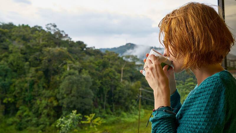 La planta "milagrosa" que controla el azúcar, ayuda a prevenir la diabetes y mejora la memoria.