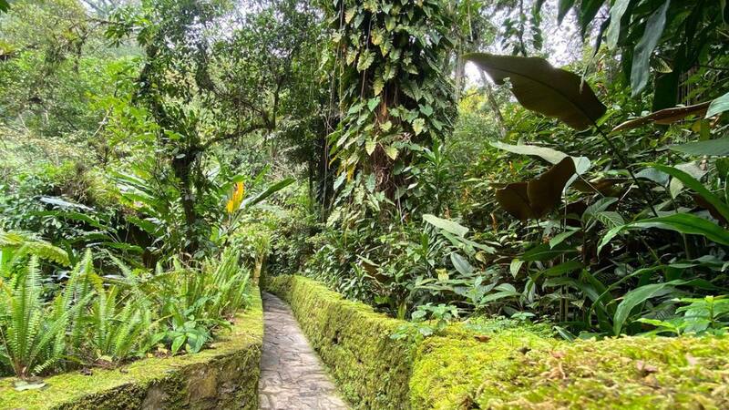 El lugar está rodeado de una exuberante vegetación.