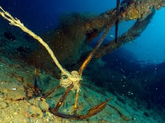 Descubrimiento sin precedentes: encuentran un barco fantasma perdido hace más de 100 años