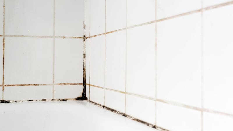 <div class="migrated-promo-image__description"><div class="migrated-promo-image__source">Fuente: shutterstock</div></div>