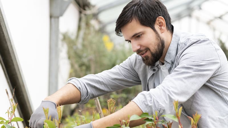 Es fundamental observar las primeras señales de estrés en las plantas, como cambios en el color de las hojas, para realizar ajustes rápidos en el cuidado.