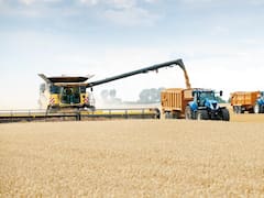 Súper cepo al dólar: desde el campo alertan que implica un "duro golpe" a la producción