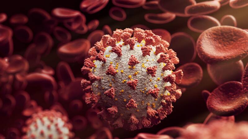 <div class="migrated-promo-image__description"><div class="migrated-promo-image__source">Fuente: Shutterstock</div></div>