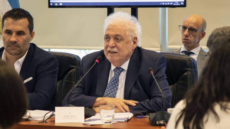 Ginés González García pidió en Diputados aprobar la emergencia.