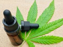 Científicos argentinos descubrieron qué efectos beneficiosos tiene el aceite de cannabis y para qué usarlo