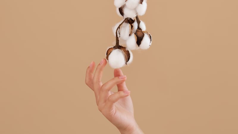 El ritual del algodón es una técnica efectiva para liberar energía negativa y restaurar el equilibrio emocional.