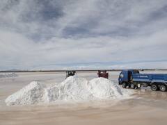 El gigante chino Ganfeng avanza en el litio argentino con un nuevo proyecto