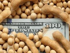 Dólar: el campo liquidó más que lo previsto, por la baja de retenciones