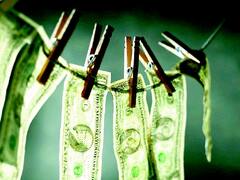 Macri autoriza ahora a familiares de funcionarios a blanquear capitales