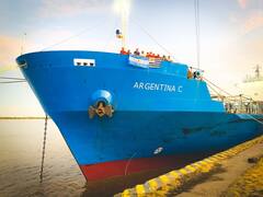 Sturzenegger pretende restituir la desregulación de la Marina Mercante pese al rechazo del Congreso