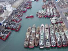 Solicitan al Gobierno bonaerense que intervenga por la situación del puerto de Mar del Plata