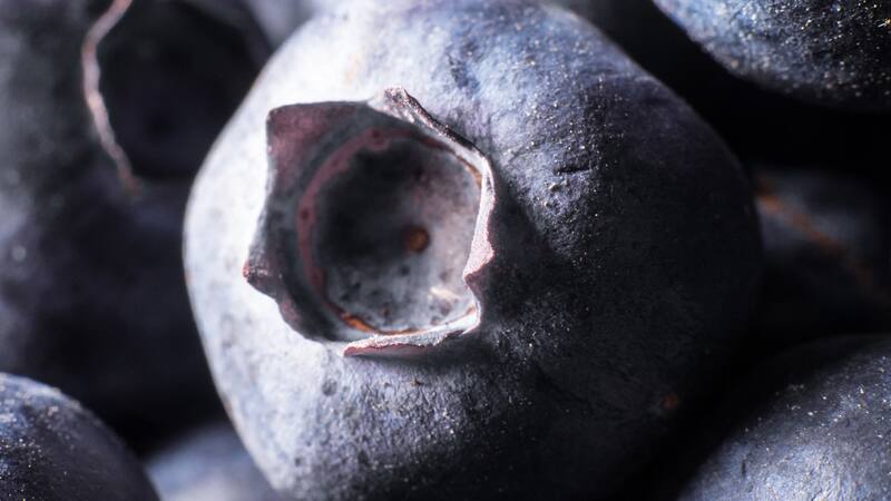 <div class="migrated-promo-image__description"><div class="migrated-promo-image__source">Fuente: Free pik</div></div>