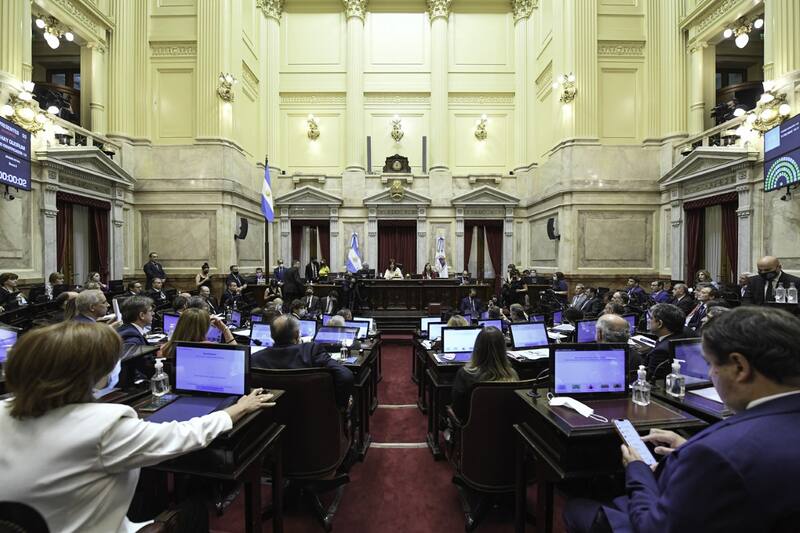 La senadora cometió el error durante el debate por el acuerdo con el FMI.