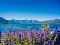 La ciudad patagónica que fue elegida el destino turístico "más amable y hospitalario" de Argentina, según un ranking especializado