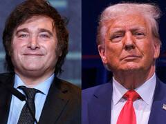 Un gurú de Wall Street le dio la peor noticia a Milei: "Si gana Donald Trump..."